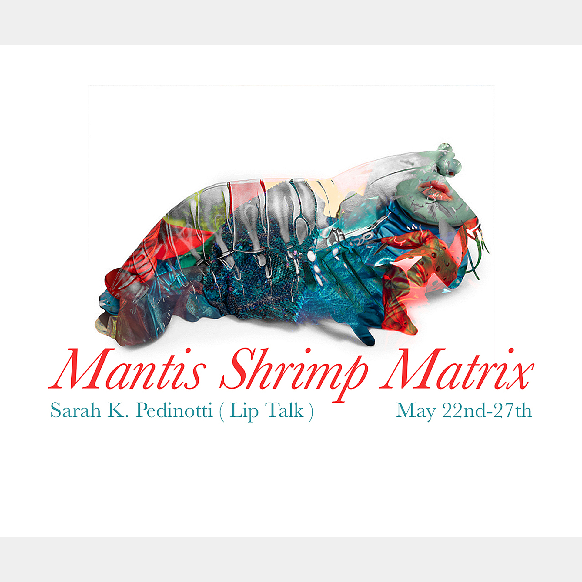 Mantis Shrimp Matrix